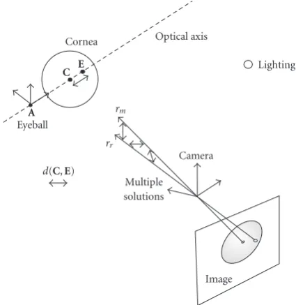 Figure 6: Back-projected lines.