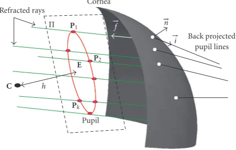 Figure 10: Cornea and pupil after refraction.tance between pupil and corneal centers is E is the center of acircumference formed by the intersections of the plane Π with therefracted rays