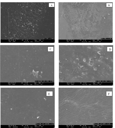 Fig. 8. XRD spectrum of composite sheet sample 
