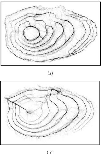 Figure 8: (a) Light agents path (on Figure 3), (b) dark agents paths.