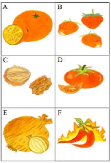 Figure 3. Pictograms representing Orange (A), Strawberries (B), Walnut (C), Tomato (D), Onion (E) and Chili Pepper (F)  