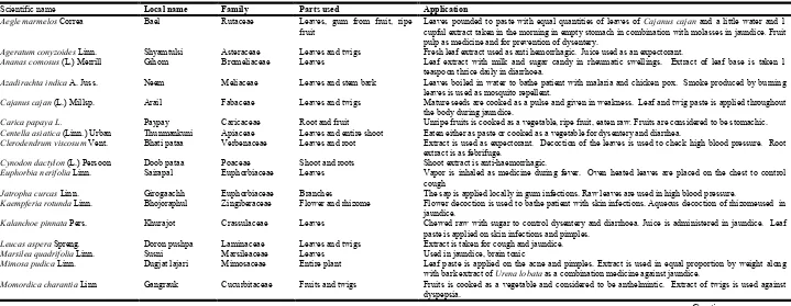 Table 6. Medicinal plant species used by village  people of  Tripura    