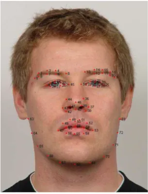 Figure 12: Sample IMM face database image with 73 landmarks annotation defining facial features;                                         eyebrows, eyes, nose, mouth and jaw