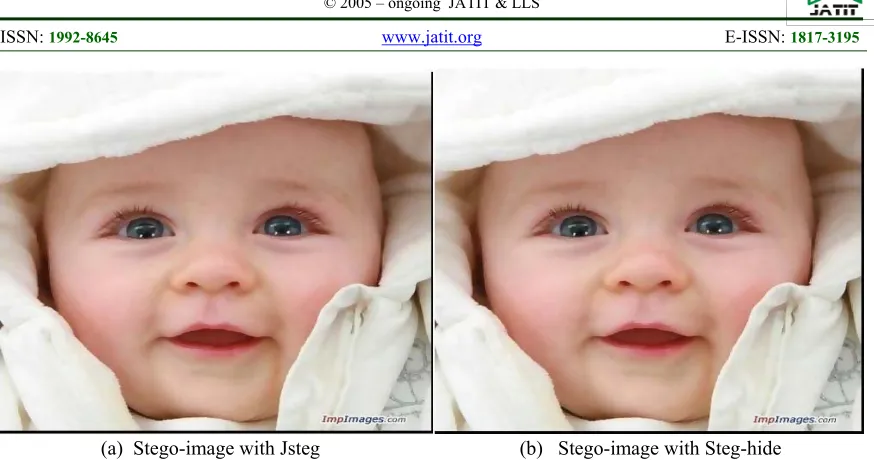 Figure 9: Stego- image produced by transfer domain techniques 