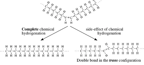 Figure 1. Structure of Saturated, Unsaturated (cis)  and Trans fatty acids 