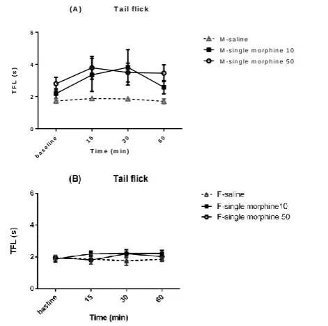Figure 1.  Timeline of morphine tolerance induction experiments. After 7 days recovery from surgery and cannulation, intra-NAcc saline, morphine according to the protocol (in order to induce tolerance rat were injected with morphine (2.5, 5, 10 50µg/0.5ml,