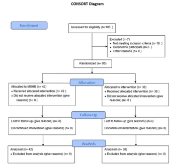 Fig. 1. Consort Flow Chart 