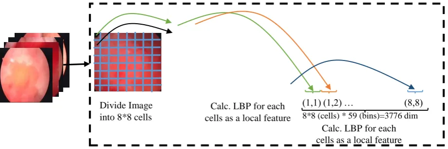 Figure 1: Feature extraction steps in the proposed technique by the LBP method