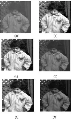 Figure 7(c) and Figure 7(e), respectively. 