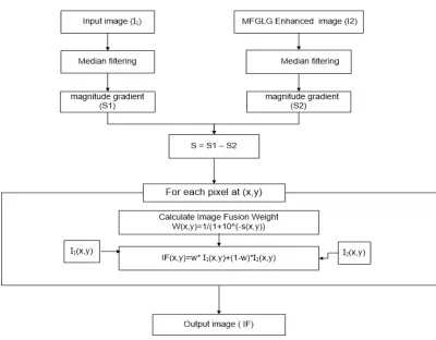Fig.4. A Flowchart Of Our Proposed ACEIF/MFGLG Algorithm.