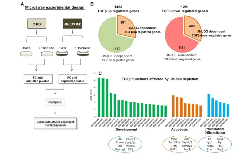 Fig. 2. TGFthe TGFnumber of TGF and JMJD3 regulate common target genes. (A)Schematic representation of microarray analysis design