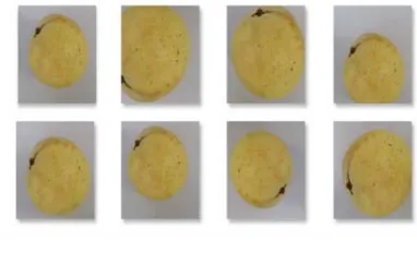 Figure 6. Data Augmentation of Guava Fruit Image 