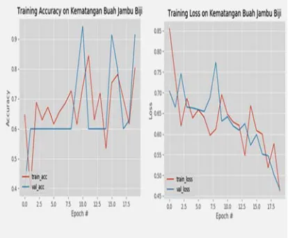 Figure 9. Plot of Training Result Second Experiment. Kematangan Buah Jambu Biji means maturity of guava fruit 