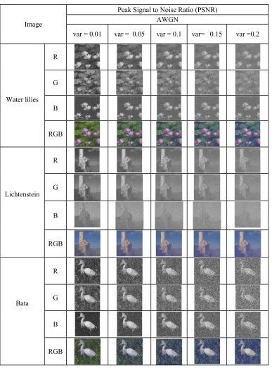 Table 7: Peak Signal to Noise Ratio (PSNR) values of the deciphered Water Lillies, Lichtenstein and Bata images using the proposed DCT optical DRPE color image cryptosystem in the exitance of AWGN noise with different variances (var) on the encrypted images 