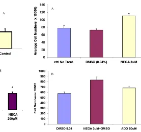 Fig 4. (A) Both adenosine agonists NECA and CV1808 at higher doses (100-200 M) presented a significant reduction in  numbers of CEF cells following a 4-day treatment in serum-free medium