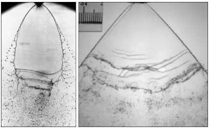 Figure 1: Real images of fluid sheets [13],[14] 