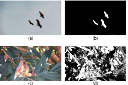 Figure 1(d).  
