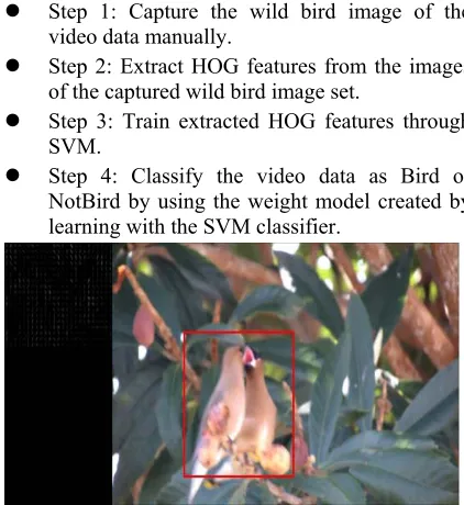 Figure 10 : An Example Result Of Bird Detection Using WBBC Algorithm. 