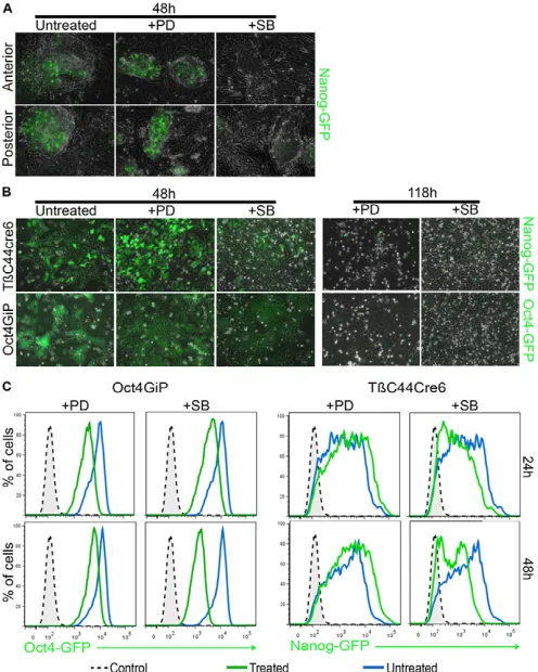 Fig. S7C,E). Moreover, image analysis shows that Nanog is only