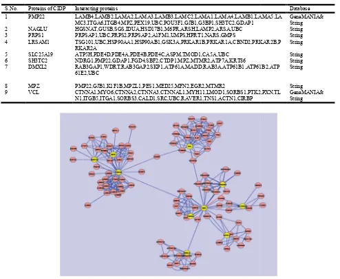 Fig. 4.Protein interaction network constructed by cytoscape.Protein interaction network constructed by cytoscape    