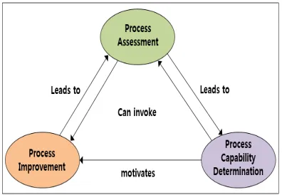Figure 1: Process Assessment relationship 
