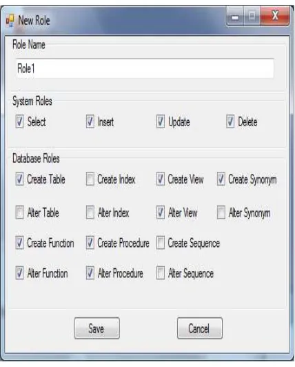Figure 2: Database and System Privileges  
