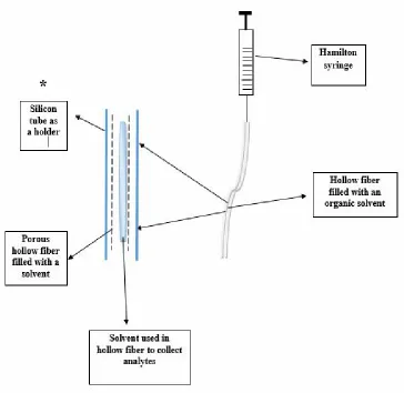 Fig. 3. Schematic diagram of HP-LPME (*A recent study has used silicon tube as a holder)
