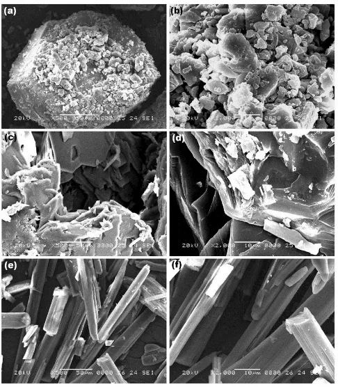 Fig. 7. SEM images of (a) pure 2ABZ (×500), (b) pure 2ABZ (×2000), (c) physical mixture of 2ABZ with β-CDx   