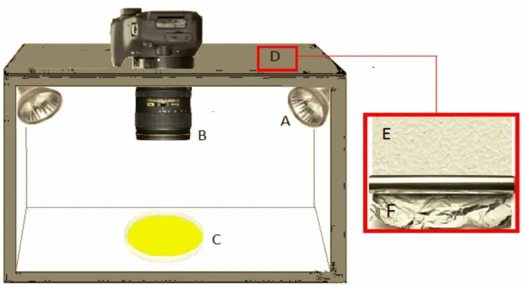 Fig. 2. Procedure of mean histograms acquisition in the grayscale, red, green, blue, hue, saturation and intensity channels