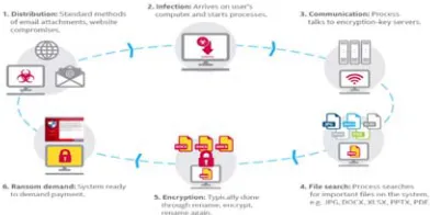 Figure 1: Ransomware Lifecycle [3] 