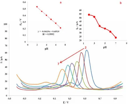 Figure 4B shows linear relationship between peak 