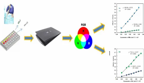Fig. 2. Schematic of the procedure.  