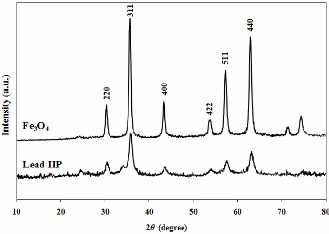 Fig. 3. TEM image of as-prepared IIP nanoparticles.  