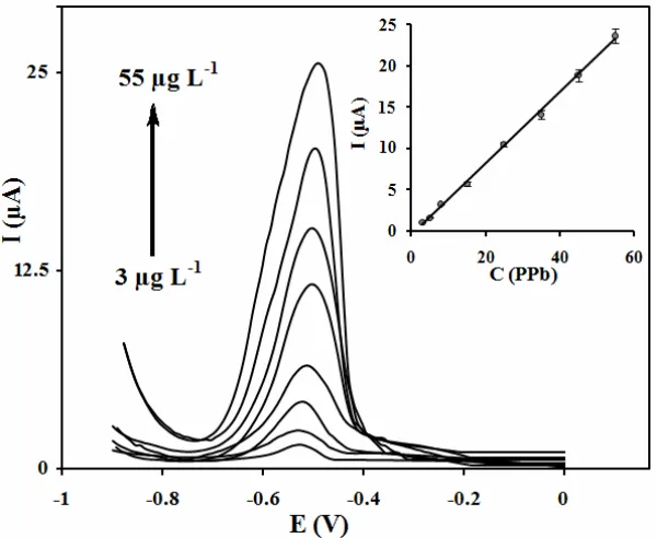 Fig. 9. Stripping voltammograms of the proposed MCPE under optimized experimental conditions, lead(II)    