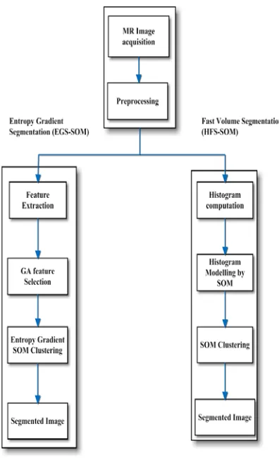 Figure 6: Overall flow of both EGS-SOM and HFS-SOM procedure  