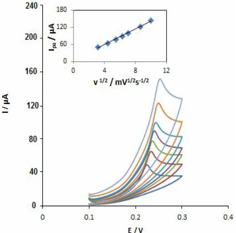 figure shows that the plot of the anodic peak current height of GA vs. the square root of scan rate (ν1/2) is linear in the range of 10-100 mV s-1