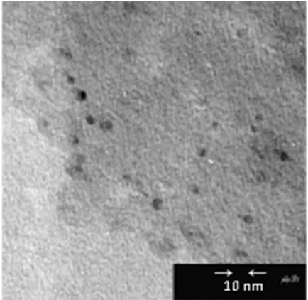 Fig. 1. UV-Vis absorption and fluorescence spectra of                   CdTe/TGA QDs. 