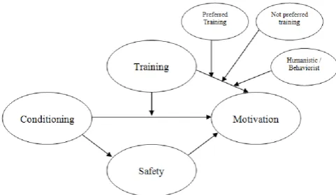Figure 1. Effects of Conditioning on Safety and Motivation