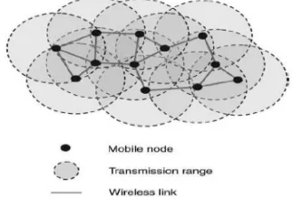 Figure 1: MANET Topology. 