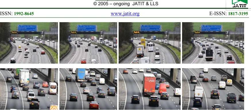 Figure 7: Sample frames from the created dataset 