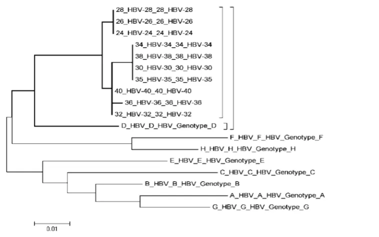 Fig. 3. Phylogenetic tree of 348 bp fragments from 10 HBV isolated in the studied population and 8 standard genotypesfrom NCBI database