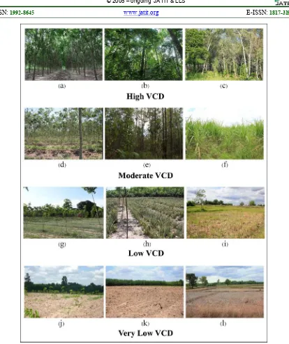 Figure 6: Ground observations, High VCD: (a) Rubber trees > 7 years (MatureR), (b) Very dense forest (VDF), (c) forest plantation; Moderate VCD: (d) Rubber trees 4-7 years (MidR), (e) Moderately dense forest (MDF), (f) Field cropherbaceous plants (FC); Low