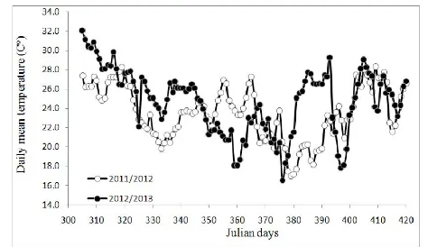 Figure 1. Prevailing thermal regime as daily mean temperature at Hudeiba Research Farm for the crop seasons 2011/2012 and 2012/2013 