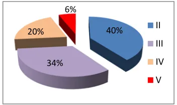 Figure 1: Proportion of Each Class of Pneumonia Risk  