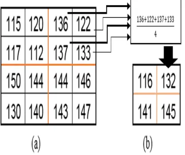 Figure 5: (a) A colour image, (b, c and d) grayscale 