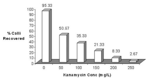 Figure 1. Effect of Kanamycin concentrations on survival of callus lines. Each experiment was repeated three times