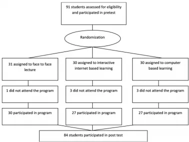 Fig. 1. Randomization scheme and participation flow of the studying groups