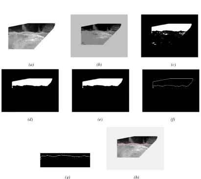 Figure 6: The shorelines extraction and detection processes, (a) Rectified image, (b) Segmented image, (c) Binarization, (d) remove small object, (d) fill hole in region, (f) Canny edge detection, (g) ROI, (h) Shoreline image