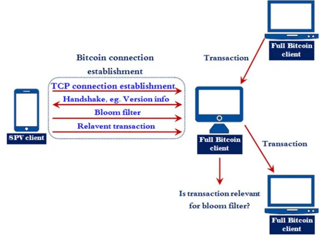 Figure 1. Sketch of SPV client connects to a full Bitcoin node. 