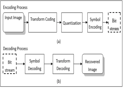 Figure 1: The Image Following the Use of DCT with Two Dimensions  